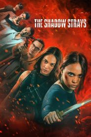 მოხეტიალე ჩრდილი / The Shadow Strays