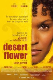 უდაბნოს ყვავილი / Desert Flower