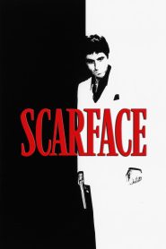 ნაიარევი სახე / Scarface