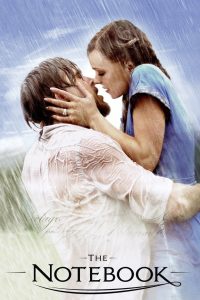უბის წიგნაკი / The Notebook