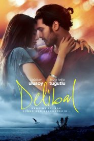ველური თაფლი / Delibal