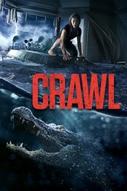 ხოხვა (ხაფანგი) / Crawl
