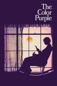 იისფერი / The Color Purple