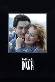 შეყვარებულები / Falling in Love
