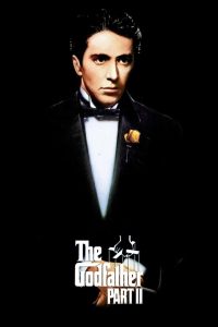 ნათლია: ნაწილი მეორე / The Godfather Part II