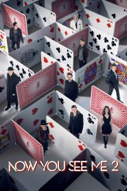 ახლა მხედავ 2 / Now You See Me 2
