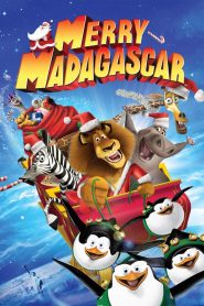 საშობაო მადაგასკარი / Merry Madagascar