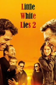 პატარა საიდუმლოებები 2 / Little White Lies 2
