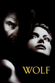 მგელი / Wolf
