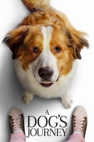 ძაღლური ცხოვრება 2 / A Dog’s Journey