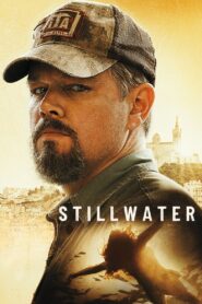 მშვიდი წყალი / Stillwater