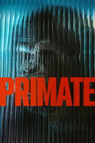 პრიმატი / Primate