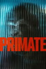 პრიმატი / Primate