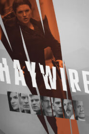 ნოკაუტი / Haywire