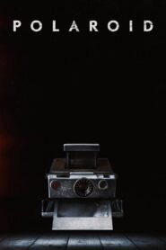 პოლაროიდი / Polaroid