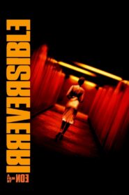 გარდაუვალი / Irreversible