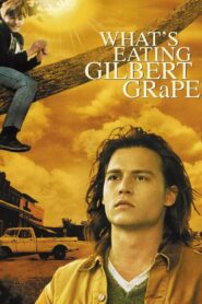 რა აწუხებს გილბერტ გრეიფს / What’s Eating Gilbert Grape