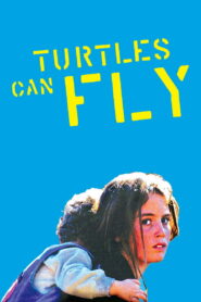 კუს შეუძლია ფრენა / Turtles Can Fly