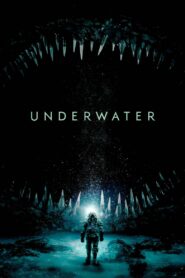 წყლის ქვეშ / Underwater
